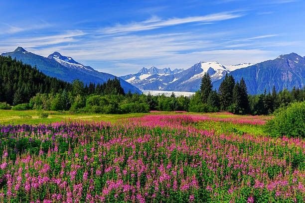 Alaska Wild Beauty with a Focus on Conservation