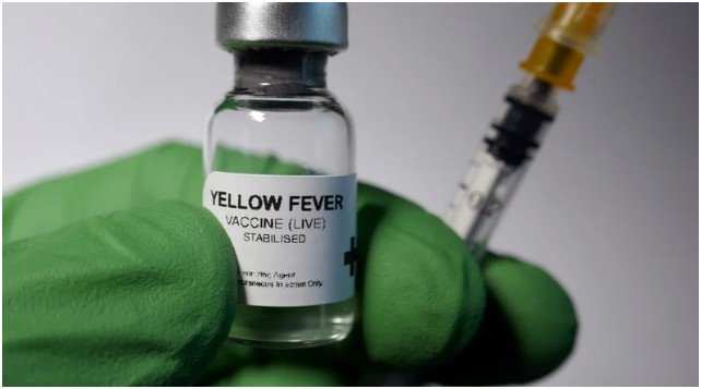 What Are the Mandatory Vaccines for African Countries?