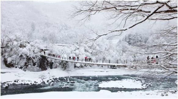 Winter (December - February): Snow, Skiing, and Cozy Vibes