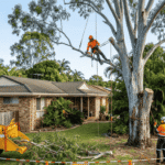 Essential Safety Tips for Removing Large Trees Near Residential Buildings