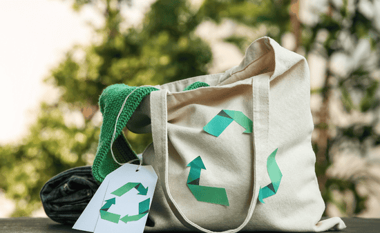 The Environmental Impact of Traditional Bags