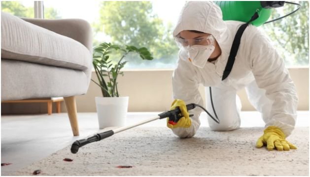 Year-Round Protection Calls for Regular Inspections