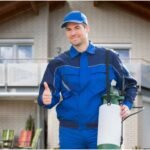 From Inspection to Stopping Problems: How Expert Wildlife Help Keeps Your Property Safe Through the Year