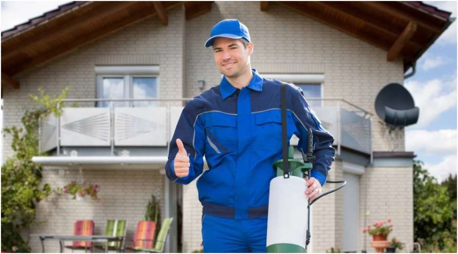 From Inspection to Stopping Problems: How Expert Wildlife Help Keeps Your Property Safe Through the Year